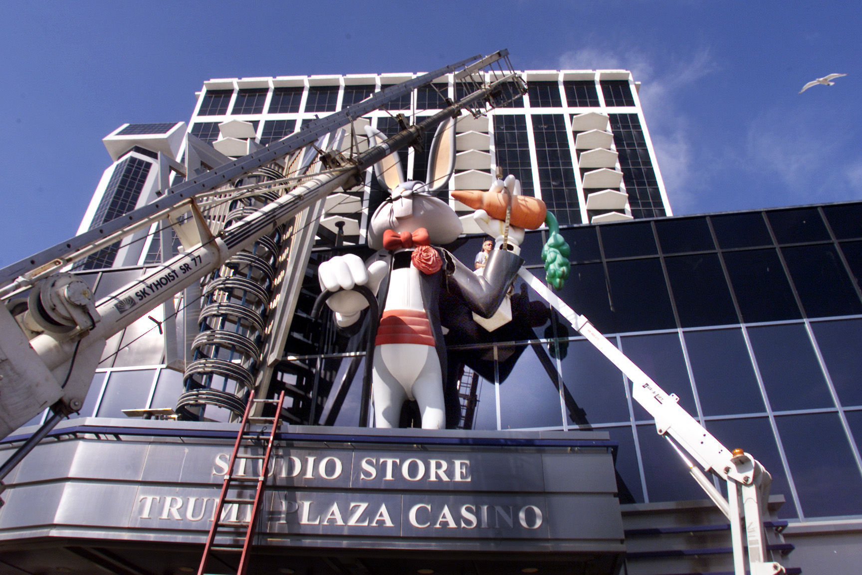 WARNERBROS.68362